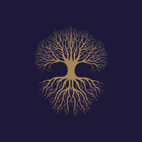 Timeless Reflections